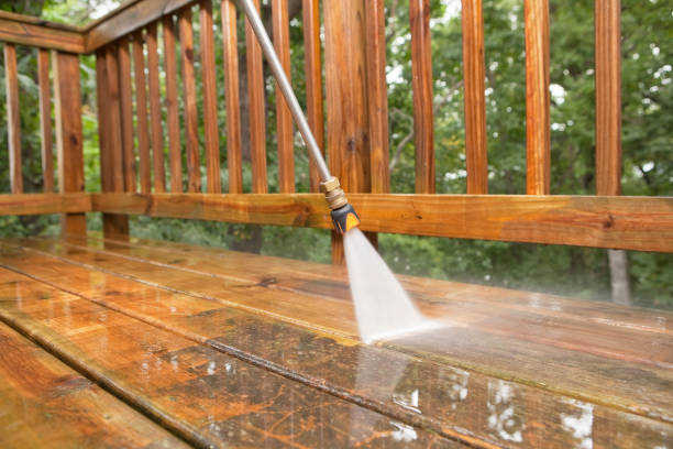 Best Eco-Friendly Pressure Washing in Williamstown, KY