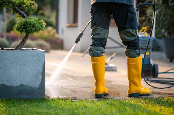 Best Gutter Cleaning in Williamstown, KY